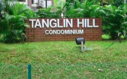 Tanglin Hill Condominium (D10), Condominium #542932541